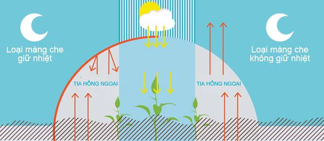 Khuếch tán ánh sáng màng nhà kính