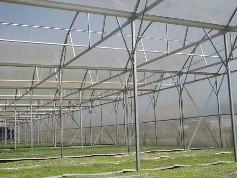 Nhà kính, nhà vòm trồng rau sạch 5